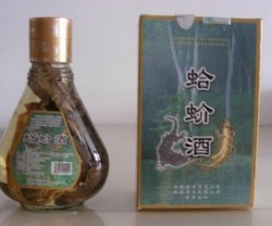 广西雄森牌 正宗蛤蚧酒 露酒 保健酒 酒  人参酒图2