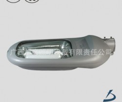 厂家直销城市道路、小区、工厂厂区道路照明路灯无极灯 质保五年图2
