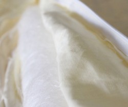 3.21热卖东桑西移100%特级全棉被子桑蚕丝被 6斤提花纯蚕丝冬被图2