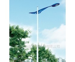 广西来宾市路灯工程公司，广西来宾路灯加工，来宾市路灯照明节能图3