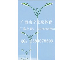 东兴市路灯杆供应，双臂路灯杆【广西宏励照明灯具有限公司】图3