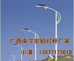 崇左路灯杆厂家订做【宏励照明灯具】小青图3