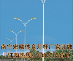 崇左路灯杆厂家订做【宏励照明灯具】小青图2