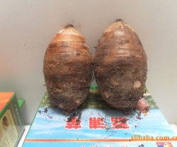 荔浦芋 芋头 [热卖中]图3