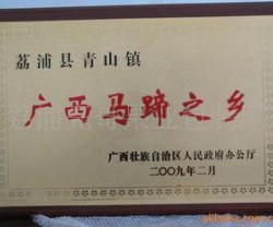 批发供应 马蹄（荸荠）图3
