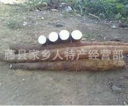 产地直销 新鲜山药  农户种植 无公害农产品 广西特产图2