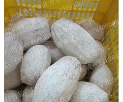 供应半加工适合用于甜品佐料火锅加工食品味道醇香超粉的芋泥图2