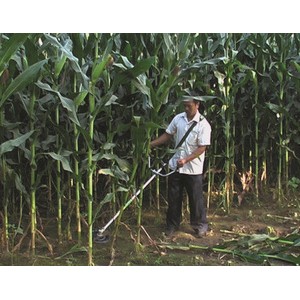桂林科丰长期大量供应玉米农业机械