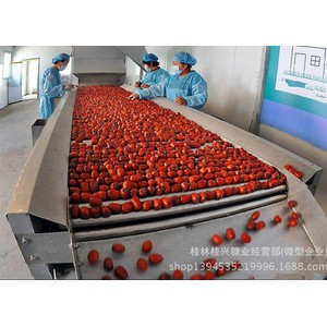 特产批发新疆若羌灰枣特级胜过一级6星红枣整件零售补血养生图2