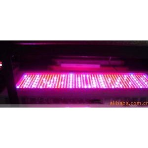 600W植物灯 大功率LED植物生长灯 红630蓝图2