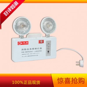 广西高强 泰辉消防应急照明灯具 LED应急灯双头灯 厂家批发图2