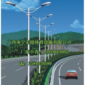 河池市双臂路灯杆造型【南宁宏励照明灯具厂家小周】图2