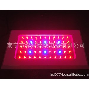 120W 红蓝LED灯、LED灯具、LED植物
