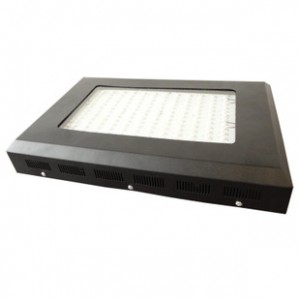 LED植物灯 全光谱 400W 红蓝橙白 LED植物生长照明灯144×3W图2