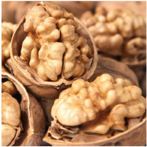 新疆核桃冬瓜果500g 新疆特产 非纸皮 特价零食图2