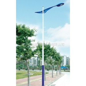 广西河池宜州路灯，河池环江毛南族路灯，河池路灯配件图2