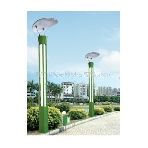 广西贺州庭院灯安装公司，贺州景观照明工程公司，贺州庭院灯批发图2