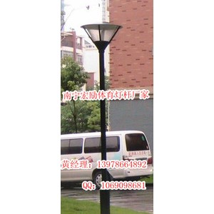 百色广场景观照明灯杆厂家订做（宏励小青）图2