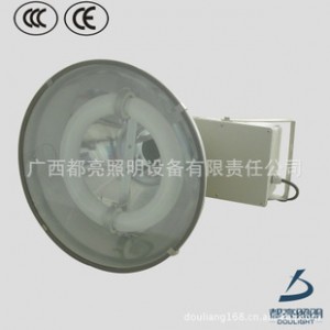 低价供应户外亮化庭院投光灯 绿色节能投光灯图2