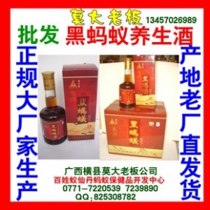 蚂蚁保健酒厂 专业生产125ml黑蚂蚁养生酒 厂价诚征各地经销商图2
