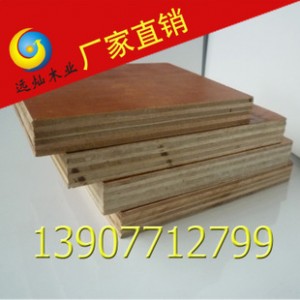 模板批发厂家专业生产 8层13mm 桉木胶合板建筑模板图2