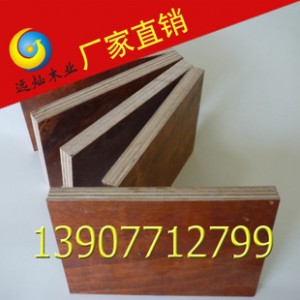 厂家生产桉树胶合板7层11mm  建筑模板 专业提供图2