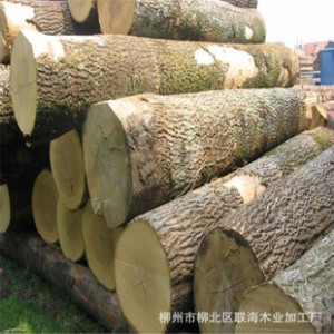 联海牌 广西建筑模板厂   建筑木板材  胶合板图2