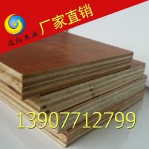 厂家批发 7层11mm  建筑胶合板 多层胶合板桉木 胶合板 建筑图2