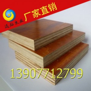 专业生产 7层11mm 桉树面板 二次成型胶合板 建筑模板图2