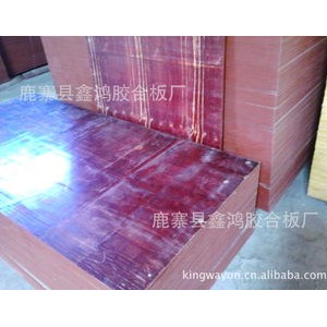 供应】混凝土模板用胶合板 优质建筑模板厂家批发 价格低质量高图2