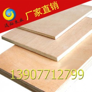 厂家直销一次成型胶合板多层板  可加工定制图2