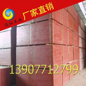 火爆热销 9层15mm 桉树胶合板 广西建筑模板图2