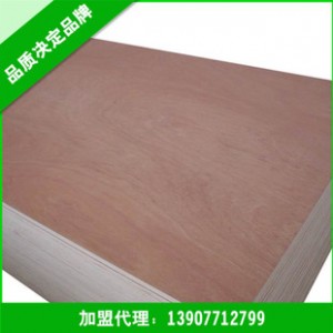 【热销】胶合板厂家直销 强度高 多种规格桉木芯一次成型包装板图2