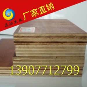 厂家热销 防水胶合板建筑模板 8层13mm  欢迎来电订购，质量保证图2