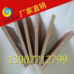 厂家热销 防水胶合板   9层15mm 建筑模板  质量好图2