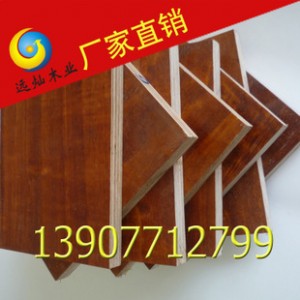 全国最低价 优质好评 9层15mm 胶合板桉木建筑模板图2