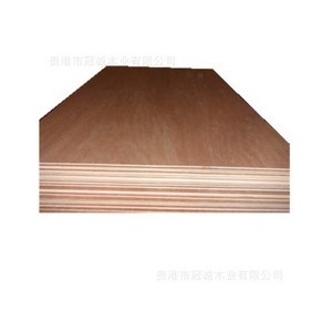 长期提供一级桉木胶合板图2