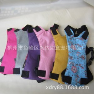 供应宠物安全带, 宠物胸背 汽车用品  宠物牵引带 宠物用品图2