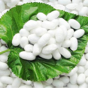 【定做】纯天然桑蚕丝被制作优质单宫茧广西南宁家纺厂家批发直销图3
