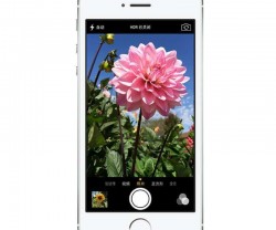 苹果 iPhone 5s 16G版 4G手机 公开版4510 赠贴膜+保护壳图2