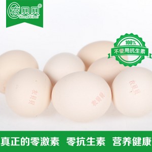 广西长期供应农贝贝土鸡蛋广西内60