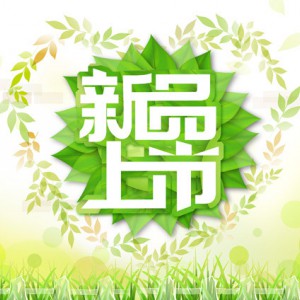 桂林市印刷厂/印刷海报/印刷画册/印刷手提袋/印刷报价图2