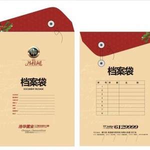 柳州市印刷厂/广西多美印刷厂/彩色低价印刷/手提袋档案袋报价图2